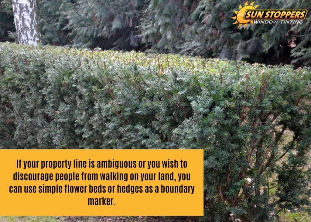 hedges
