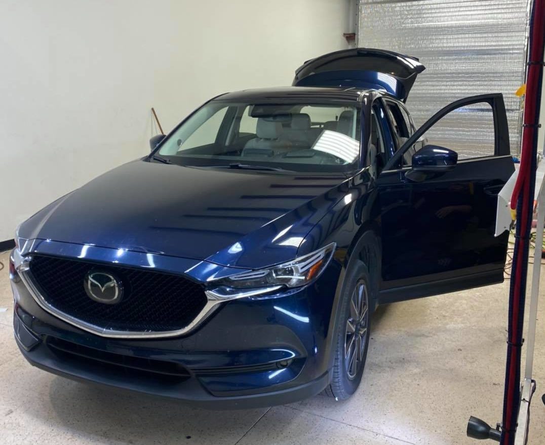 window tint 31