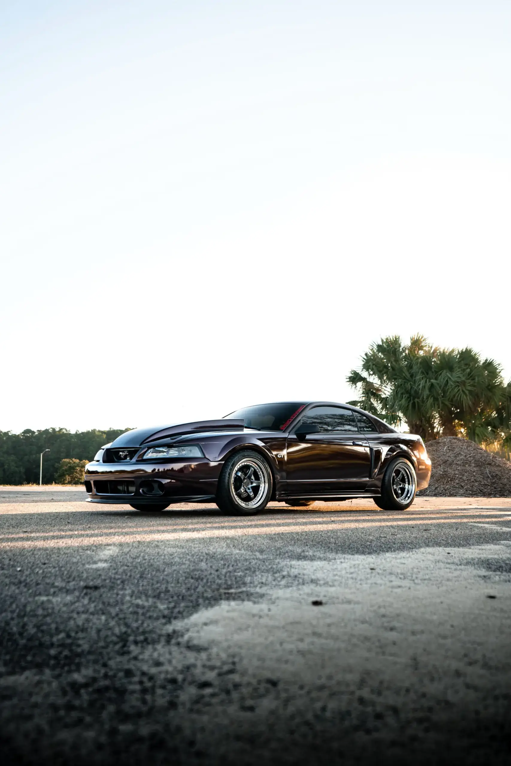 Compare window tint options in person