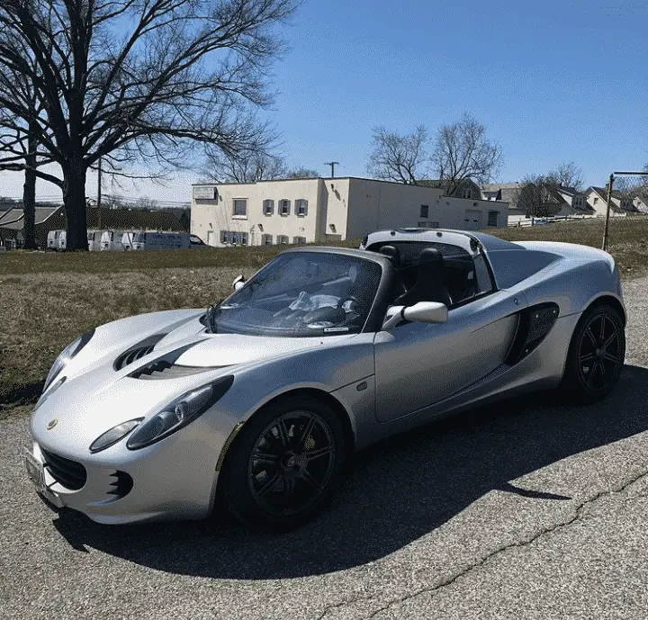 Silver Lotus Window Tint