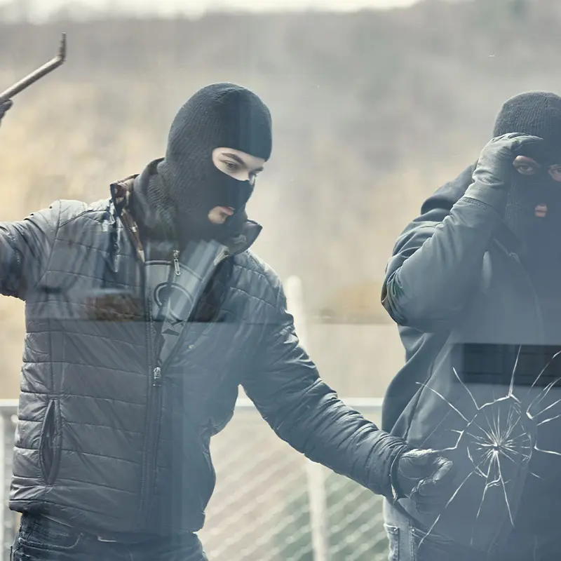 XPEL VISION safety and security window film